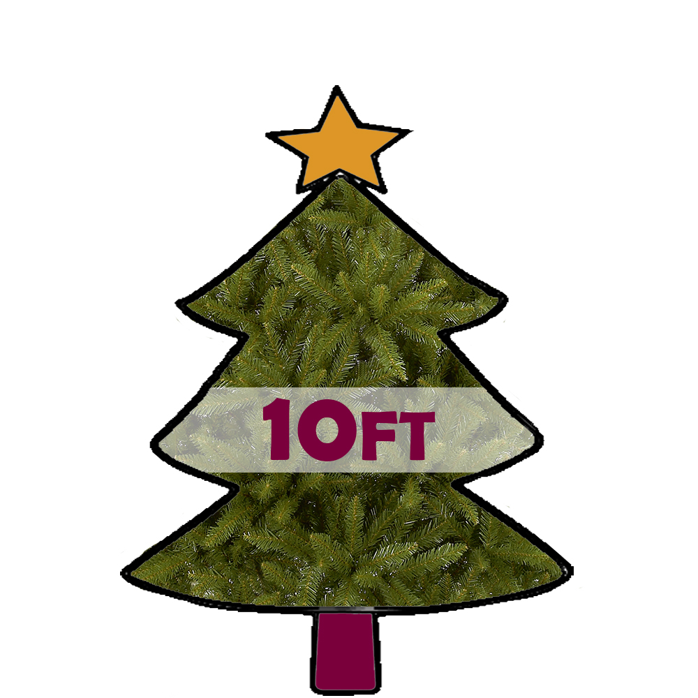 10ft Christmas Trees