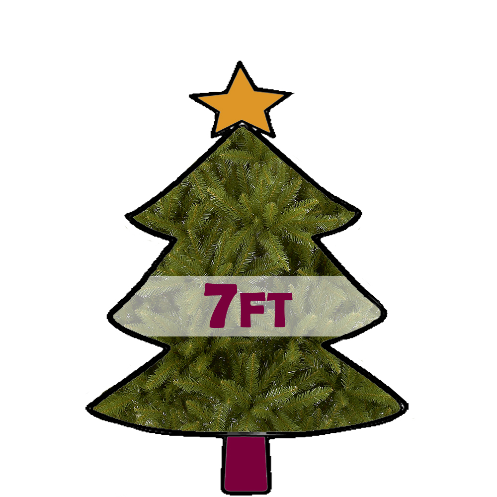 7ft Christmas Trees