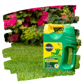 Lawn Feed, Weed & Moss Control