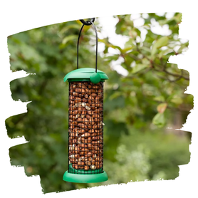 Bird Feeders & Accessories