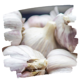 Vegetable Bulbs Vegetable Bulbs