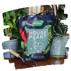Houseplant Composts & Potting Mixes
