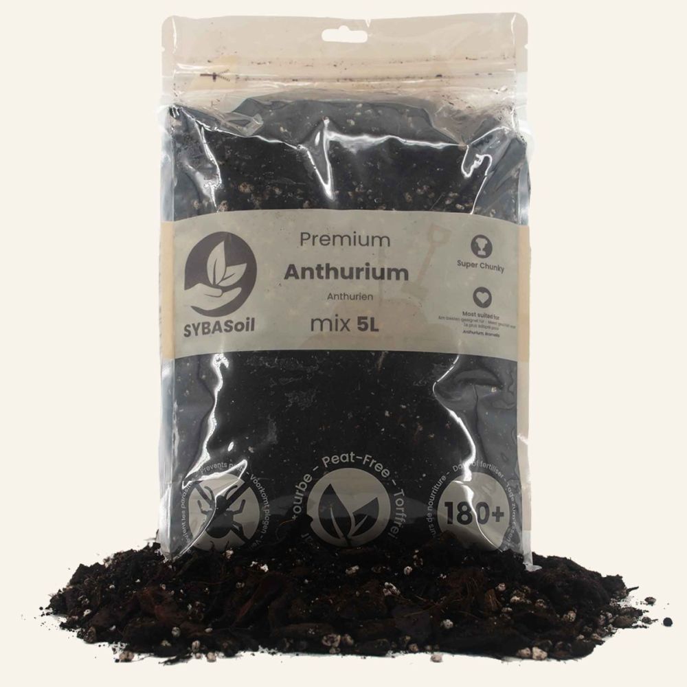 SYBASoil Premium Anthurium Potting Mix 5L | Airy Peat-Free Mix for  Anthuriums | Johnstown Garden Centre