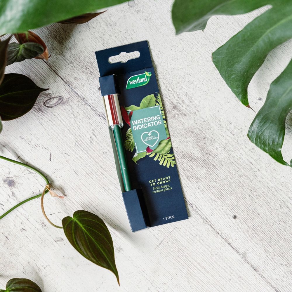 Westland Watering Indicator | Easy and Accurate Plant Watering Tool