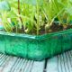 Gro-Sure Visiroot Seed Tray (Pack of 4)