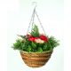 Artificial Begonia Hanging Basket 25cm (10