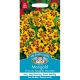 Marigold (French) Naughty Marietta