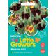 Little Growers Mexican Hats