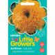 Little Growers Sunflower Teddy Bear