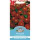 Marigold (French) Red Cherry