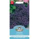 Lobelia Crystal Palace