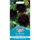 Sunflower Black Magic F1