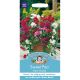 Sweet Pea Patio Mixed