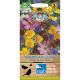 Wildlife Attracting Garden Varieties Mixed