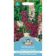 Verbascum Phoeniceum Mixed