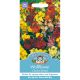 Wallflower Choice Mixed