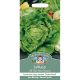 Lettuce All The Year Round