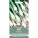 Onion (Spring) White Lisbon Winter Hardy
