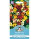 Wallflower Monarch Fair Lady