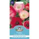 Poppy Shirley Single Mixed