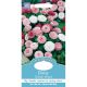 Daisy Goliath Mixed