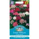 Sweet William Single Mixed