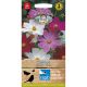 Cosmos Sensation Mixed