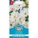 Cosmos Psyche White