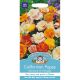Californian Poppy Monarch Art Shades