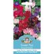Sweet Pea Bouquet Mixed