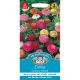 Zinnia Sunbow Mixed