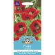 Poppy Ladybird