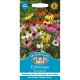 Echinacea Dreamcoat
