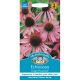 Echinacea Large Flowered