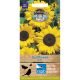 Sunflower Hallo