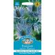 Eryngium Alpinum Superbum