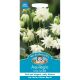 Aquilegia Lime Sorbet