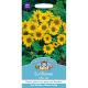 Sunflower Little Leo