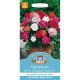 Geranium Mr Fothergill's Mophead Mixed F1