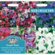 Sweet Peas Collection