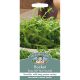 Rocket Buzz (All Year Round)