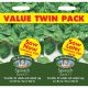 Spinach Samish Bumper Pack