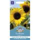 Sunflower Soleo F1