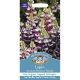 Lupin Avalune Bicolour Mix