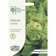 RHS Lettuce Clarion (Butterhead)