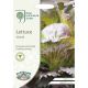 RHS Lettuce Sioux (Crisphead)
