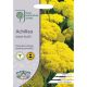 RHS Achillea Gold Plate