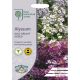 RHS Alyssum Golf Bright Mixed