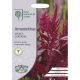 RHS Amaranthus Velvet Curtains