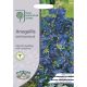 RHS Anagallis Gentian Blue